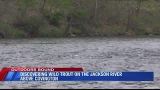 Discovering Wild Trout on Jackson River Outdoors Bound