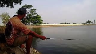 Mancing ikan Nila di Waduk Kronjo #fish #jahir #mancingikannila