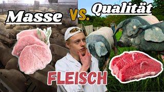 Masse vs. Qualitäts Fleisch  Der Unterschied in nur 24 Stunden 