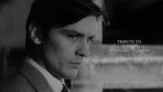 tribute to Alain Delon by Kristin Dean