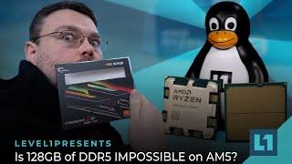 Is 128GB of DDR5 IMPOSSIBLE on AM5? Level1 Investigates