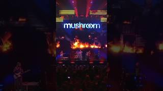 Good Mood  Live from Mushroom 50th