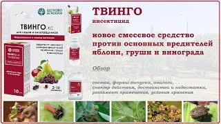 Твинго - новое средство против основных вредителей яблони груши и винограда. Обзор инсектицида