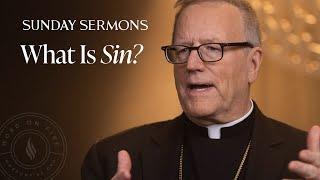 What Is Sin? - Bishop Barrons Sunday Sermon