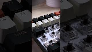 Royal Kudge RK100 Carbon Mechanical Keyboard Sound Test