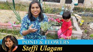 Garden Pond Vlog in Tamil  Planting flowers for Summer  Hoppy & Coco Attakasam