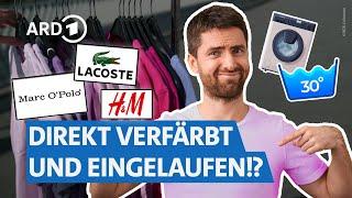 T-Shirts von Zara H&M Ralph Lauren Lacoste & Co. Ist teuer besser? I NDR Markt