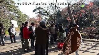 Pembara - Kandak Sema - පෙම්බරා - කන්දක් සේමා