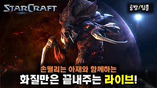 스타크래프트 공방팀플