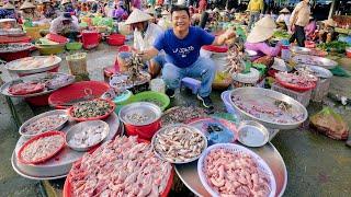 Discovering Local Delicacies at the Mekong Deltas Most Beautiful Market - Unique Cuisine  SAPA TV