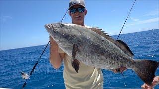 The KING of the REEF- Catch Clean Cook- Black Grouper Florida Keys Fishing