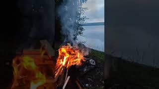 Костёр на берегу #2024 #forest #fire #nature #лес #природа #огонь