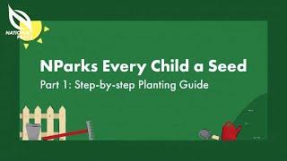 Step-by-step Planting Guide  Every Child a Seed Programme