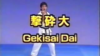 №3-2-8 #Kata Gekisai Dai Gekisai Sho #Kyokushin #Karate #Encycklopedia #Киокушин #каратэ