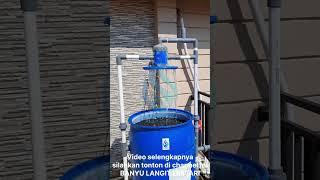 Filter air sumur bor bau karat bahan drum kapasitas 200 liter
