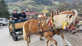 09. Gasteiner Leonhardi Ausfahrt  Bad Hofgastein 29.10. 2023