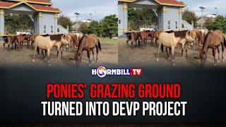 PONIES GRAZING GROUND TURNED INTO DEVP PROJECT
