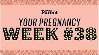 Your pregnancy 38 weeks