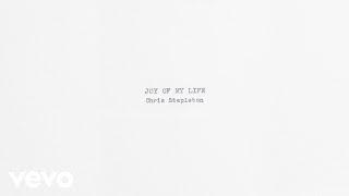 Chris Stapleton - Joy Of My Life Official Audio