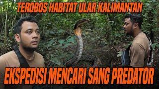 EKSPEDISI NEKAT  PANJI TEROBOS HABITAT ULAR DI HUTAN KALIMANTAN