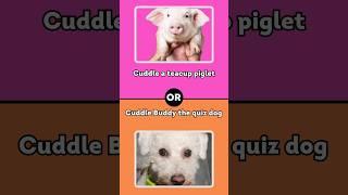 Cute Animal Preference Game  Which Animal is Your Favorite?