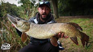 Catching BIG Pike Lure Fishing for Pike