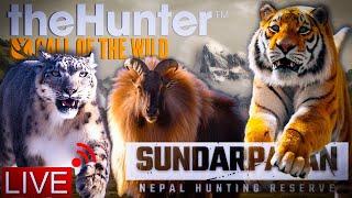 Lets do some Sundarpatan free hunting + Multiplayer?  theHunter Call of the Wild