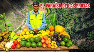 El PARAÍSO DE LAS DELICIAS en medio de los Andes Ccota Añancusi Huancavelica  DOCUMENTAL