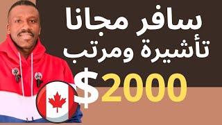 سافر وهاجر كندا تذاكر مجانا ومرتب شهري وسكن مجانا ودفع كامل رسوم الدراسة بكلاريوس وماجستير