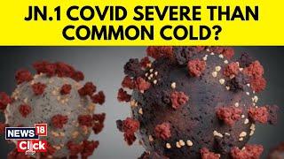 JN.1 Covid Variant  New Coronavirus Variant JN.1 Detected How Worried Should You Be  N18V