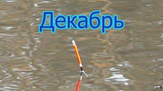 Рыбалка в декабре на поплавок ловля  карася зимой Чем заменить опарыш . My fishing