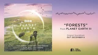 Planet Earth III - Forests Official Audio