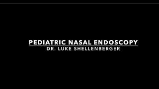 Pediatric Nasal Endoscopy - Anatomy