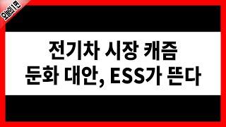 오늘의 1면 전기차 시장 캐즘 둔화 대안 ESS가 뜬다 │ 전기차 테슬라 ESS 2차전지