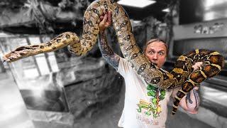 ALL MY BOAS IN ONE VIDEO  BRIAN BARCZYK