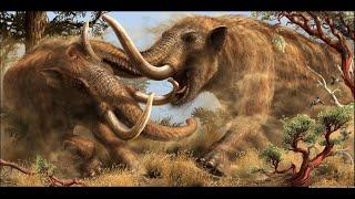Mastodons Extinct Elephant Relatives