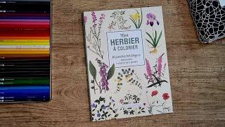 My Coloring Herbarium 40 Detachable Botanical Sheets to Color or Paint