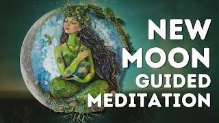 New Moon Meditation  Ground Activate Abundance & New Bliss Codes