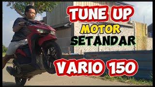 Tune up motor standar tarikan Joss lagi...Vario 150 std