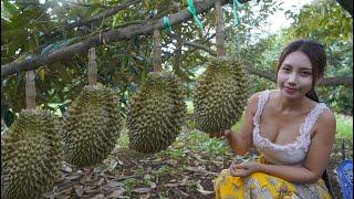 Durian fruit in my countryside and cook food recipe - Polin lifestyle