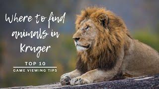 Where to find animals in the Kruger National Park  Top 10 game viewing tips