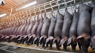 La Fábrica Carne Cerdo Más Grande China Procesamiento Masivo De Carne De Cerdo Negra