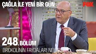 Brokolinin faydaları  Çağla ile Yeni Bir Gün 248. Bölüm