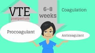 Topic 13 Postpartum Care