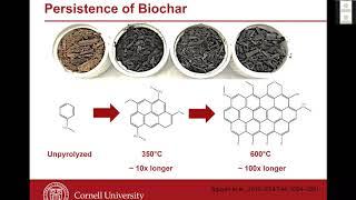 Biochar An ICRLP Explainer Video