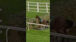 Horse does something extraordinary #racingtv #horseracing #sport #shorts