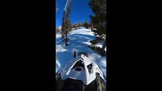 Ski-Doo Tree Ride Dreams