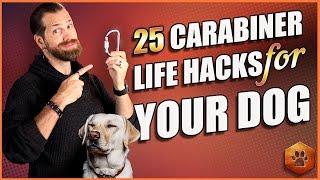 Best Dog Accessory? 25 Carabiner Life Hacks for Your Dog