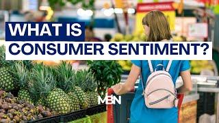 What is Consumer Sentiment?