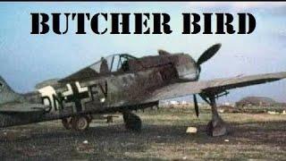 Focke-Wulf Fw 190 Documentary